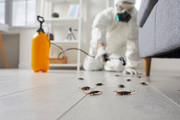 Commercial Kitchen Cockroach Control in North Utica